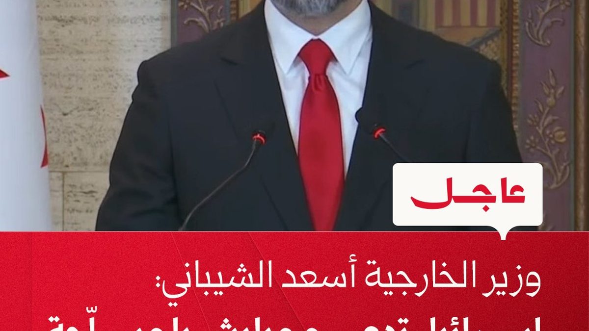لقطة لوزير الخارجية السوري أسعد الشيباني أثناء إدلائه بتصريح رسمي